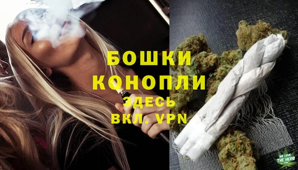 круглые Пересвет