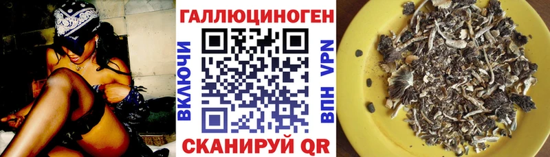 закладка  Лангепас  Псилоцибиновые грибы прущие грибы 